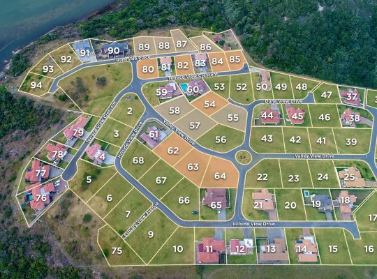 layout